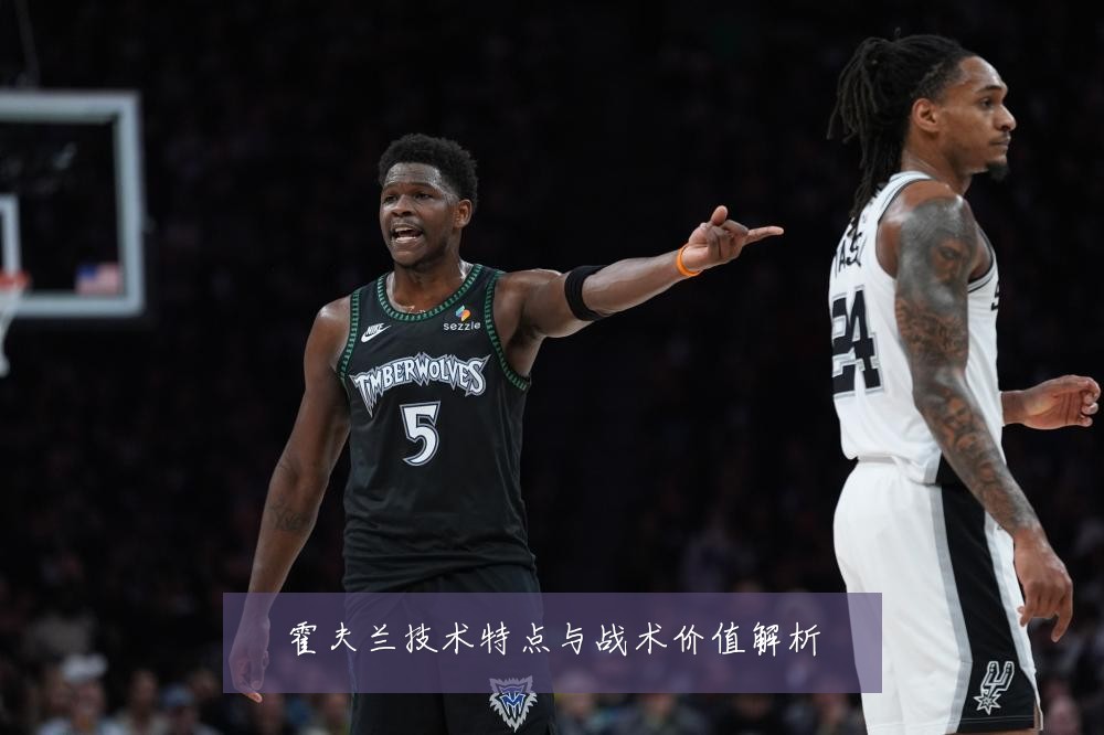 霍夫兰技术特点与战术价值解析