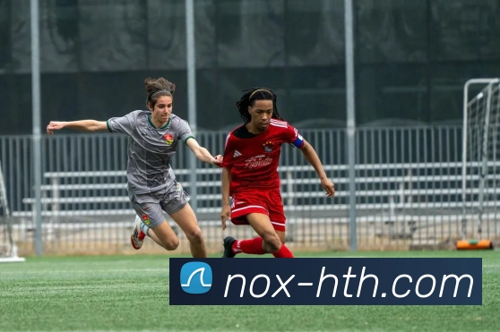 华体会平台展示图